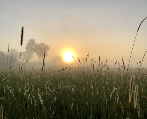 Botswana Okavango Delta Sonnenaufgang