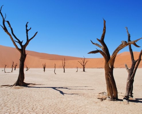 Namibia Dead Vlei