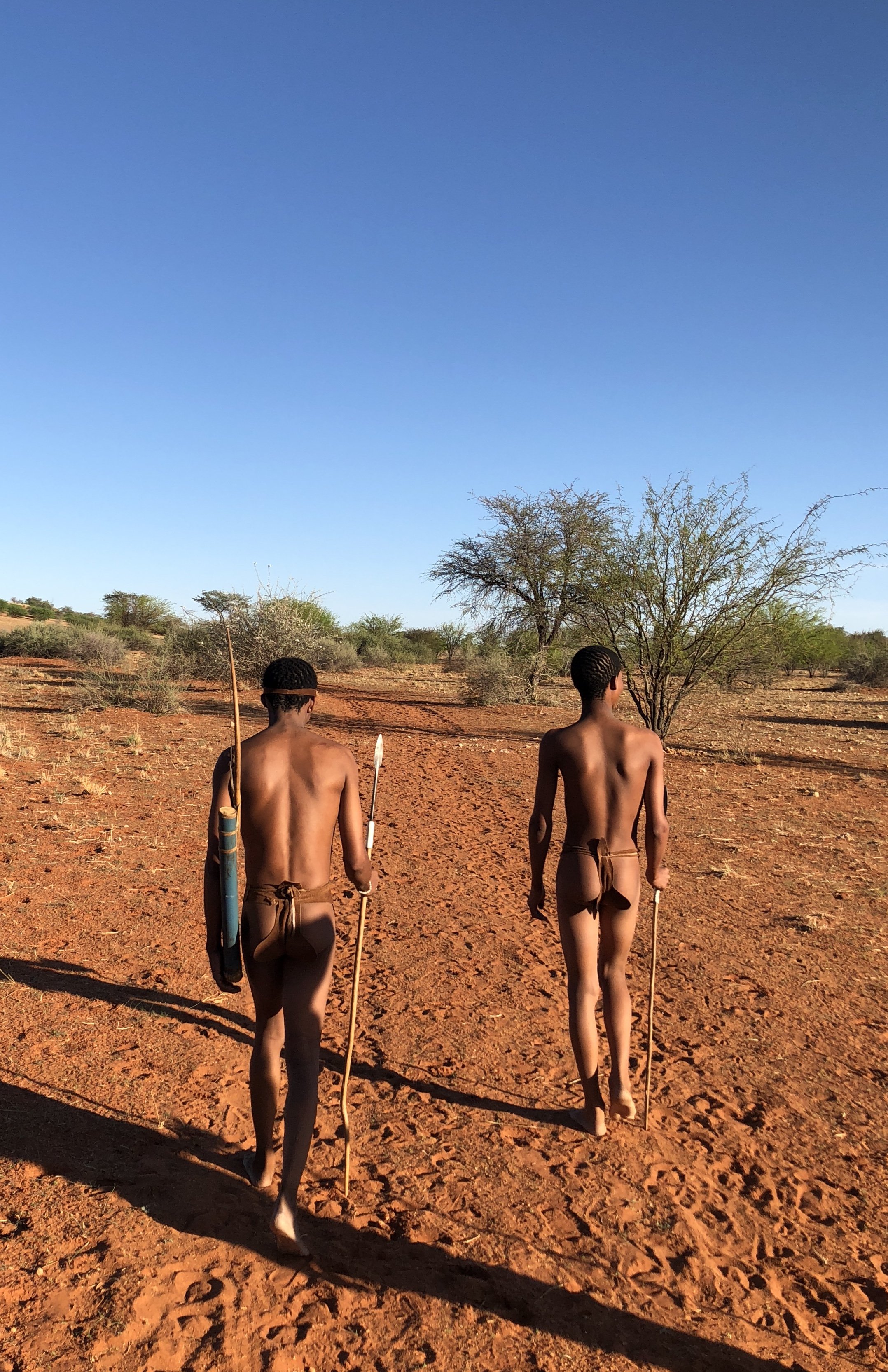 Die Buschmänner verraten uns ihre Überlebenstricks in der Kalahari Wüste