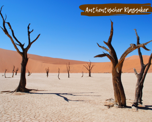 Beitragsbild Namibia