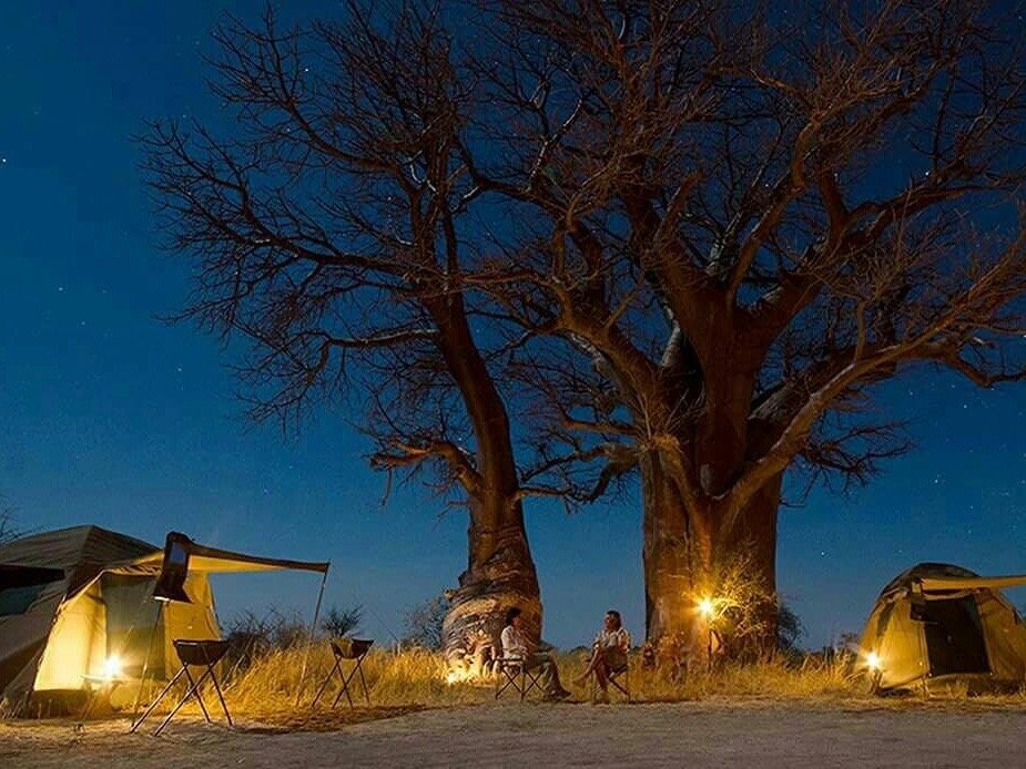 Botswana Delta Cruise Safari Camp