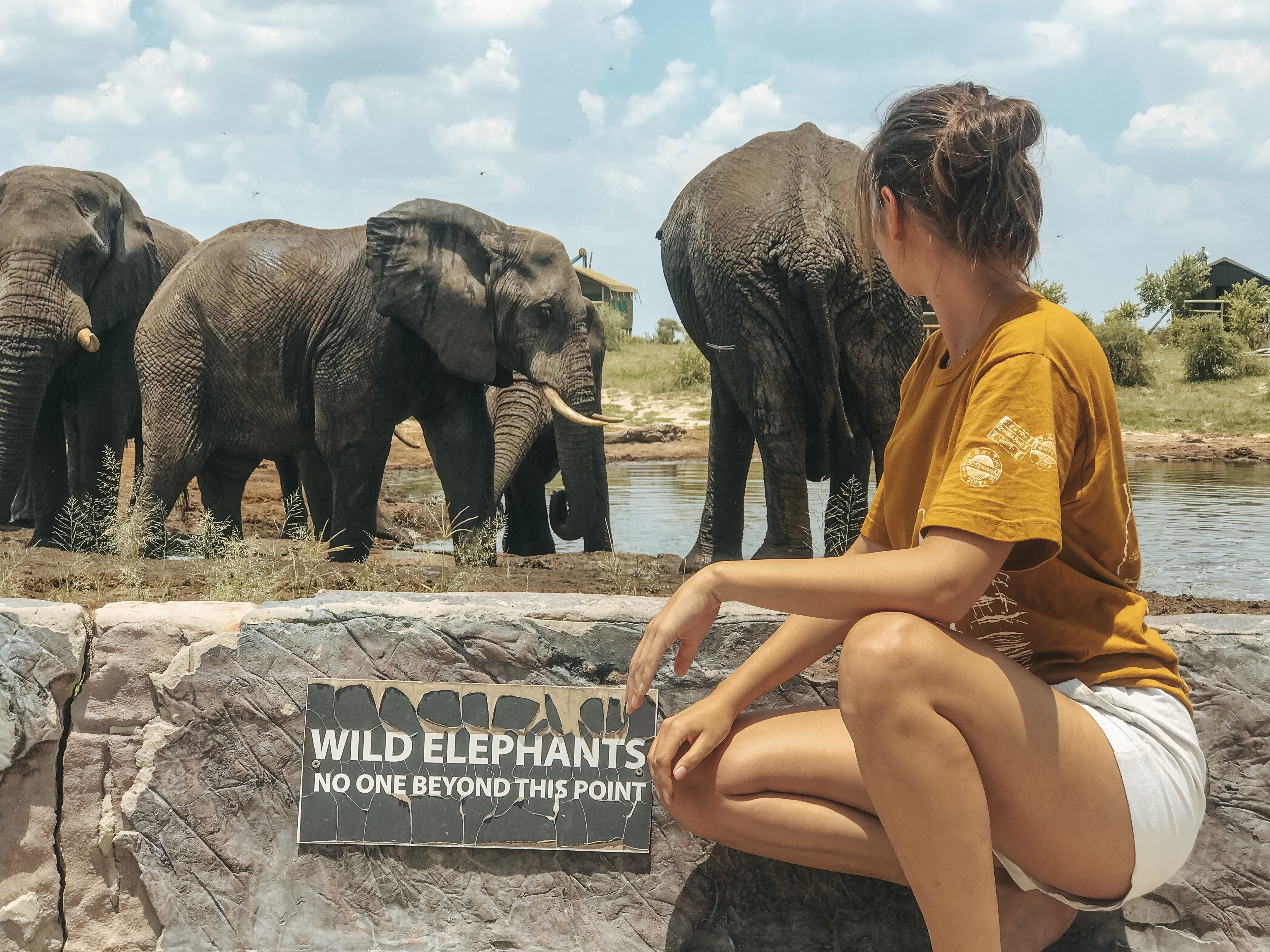 Botswana Elephants Sands Elina