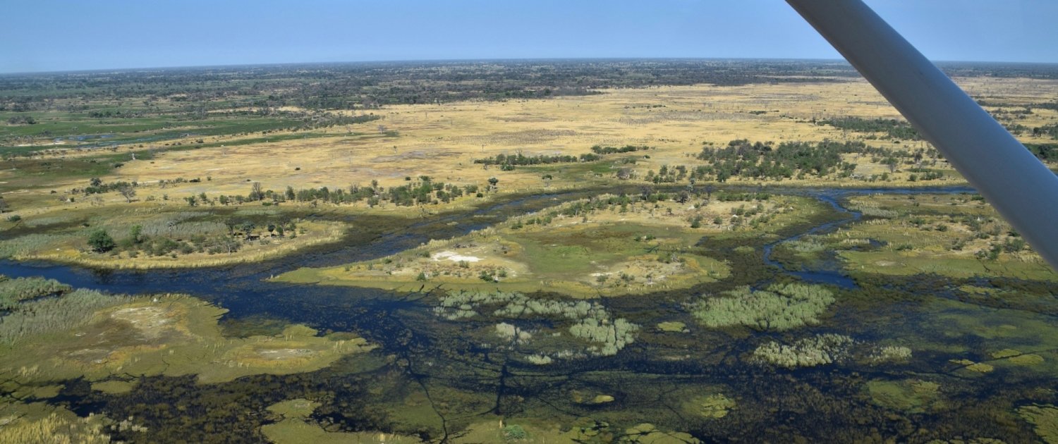 Botswana Flug Safari