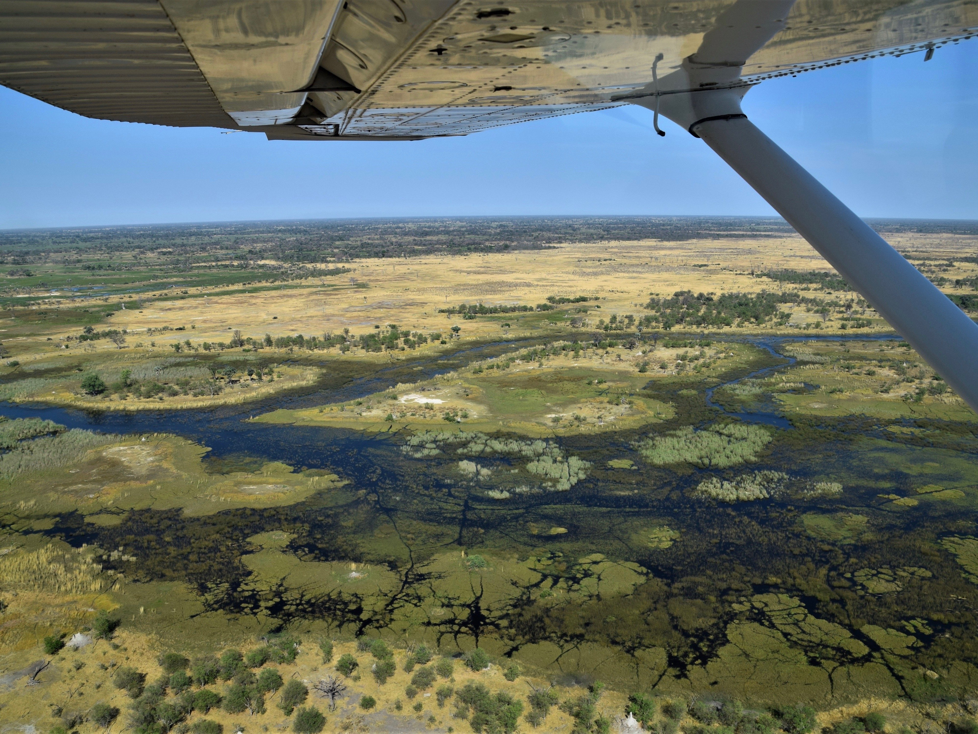 Botswana Flug Safari