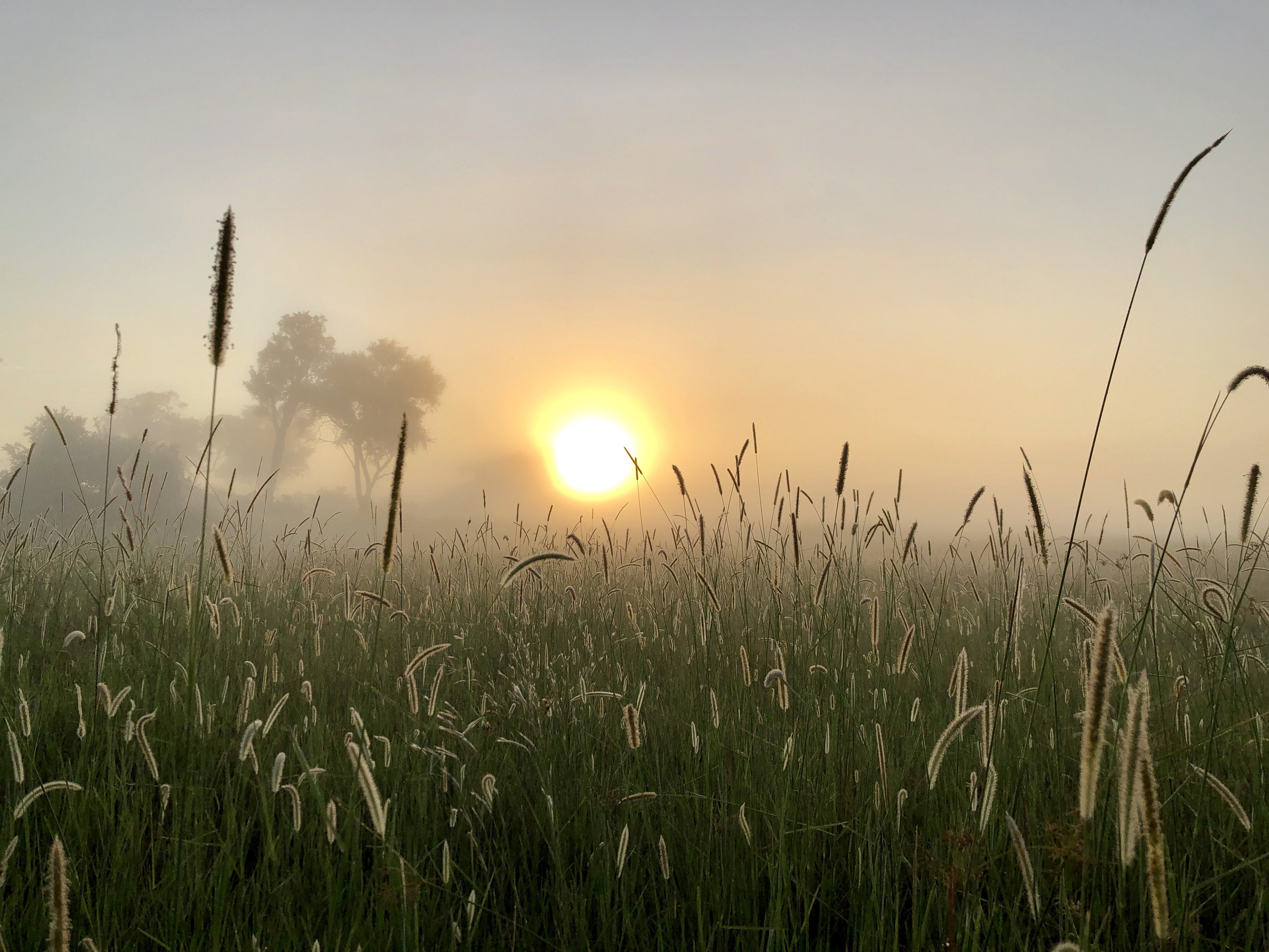 Botswana Okavango Delta Sonnenaufgang