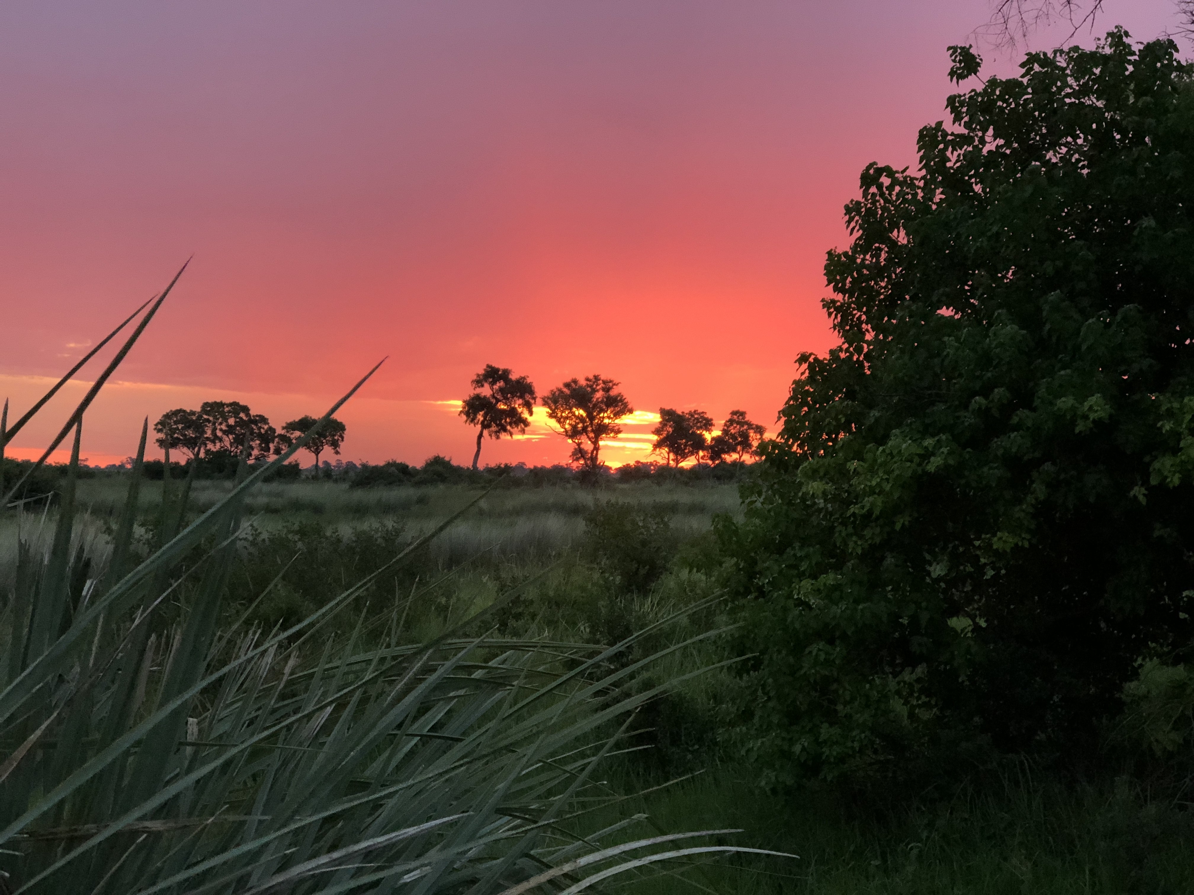 Botswana Okavango Delta Sonnenuntergang 2