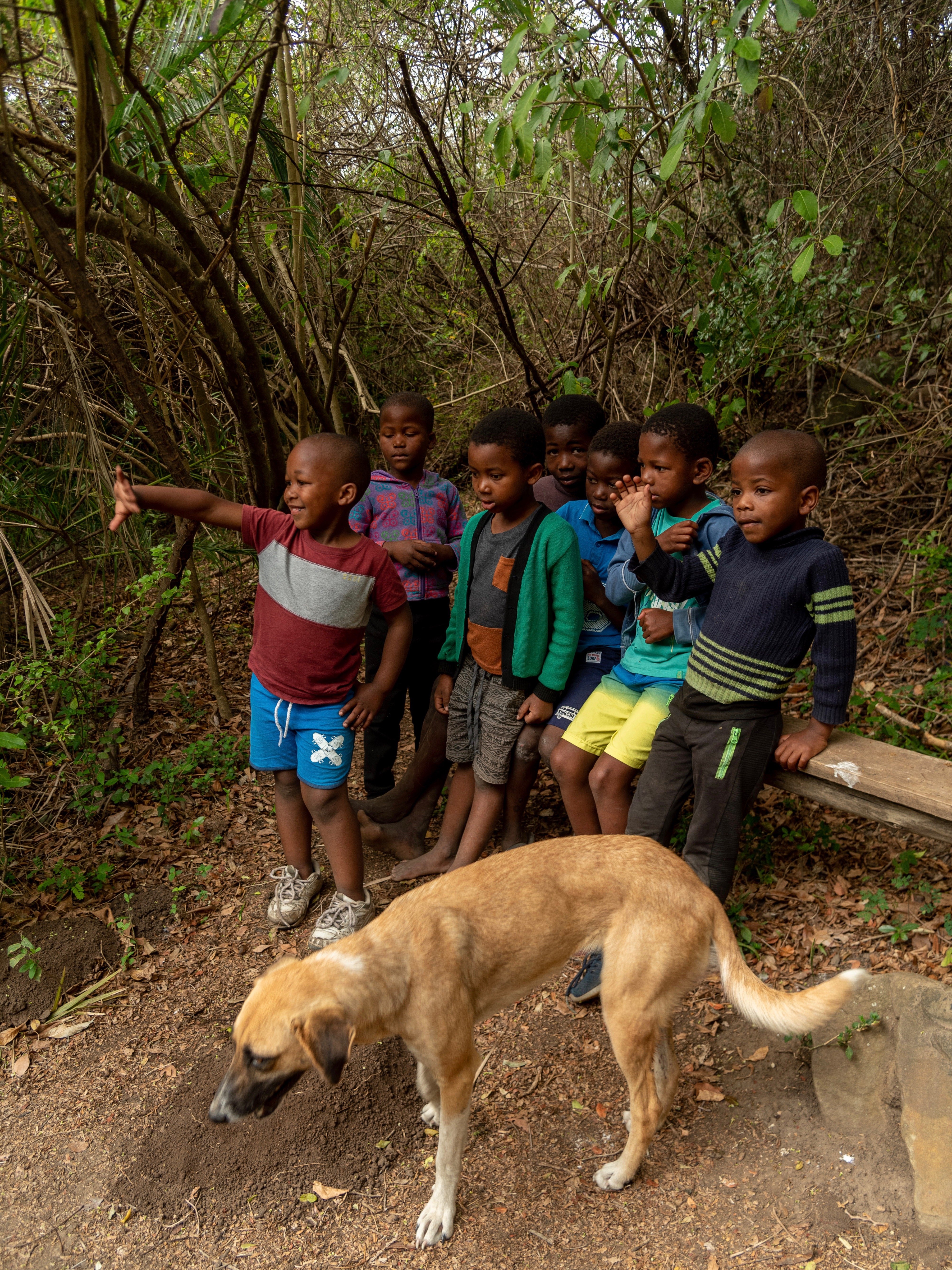 Chasing Africa Suedafrica Coffee Bay dog