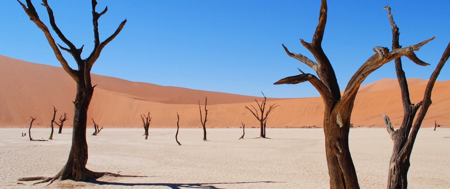Namibia Dead Vlei