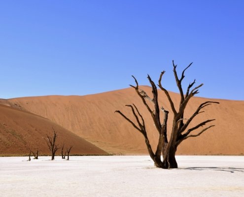 Namibia Dead Vlei blauer Himmel