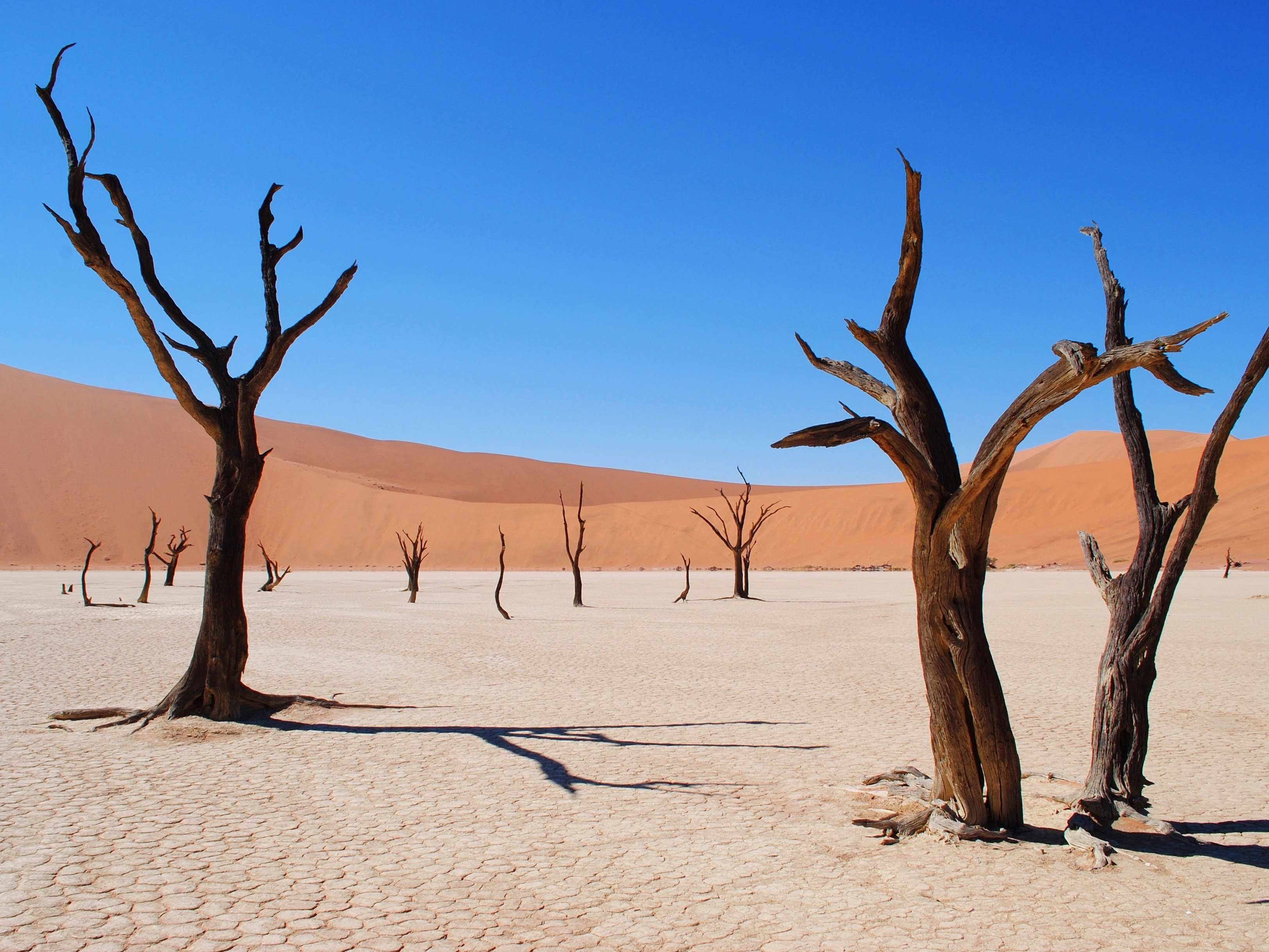 Namibia Dead Vlei