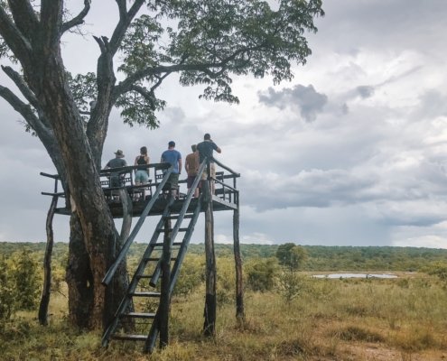 Simbabwe Hwange Treetop Aussichtspunkt 2