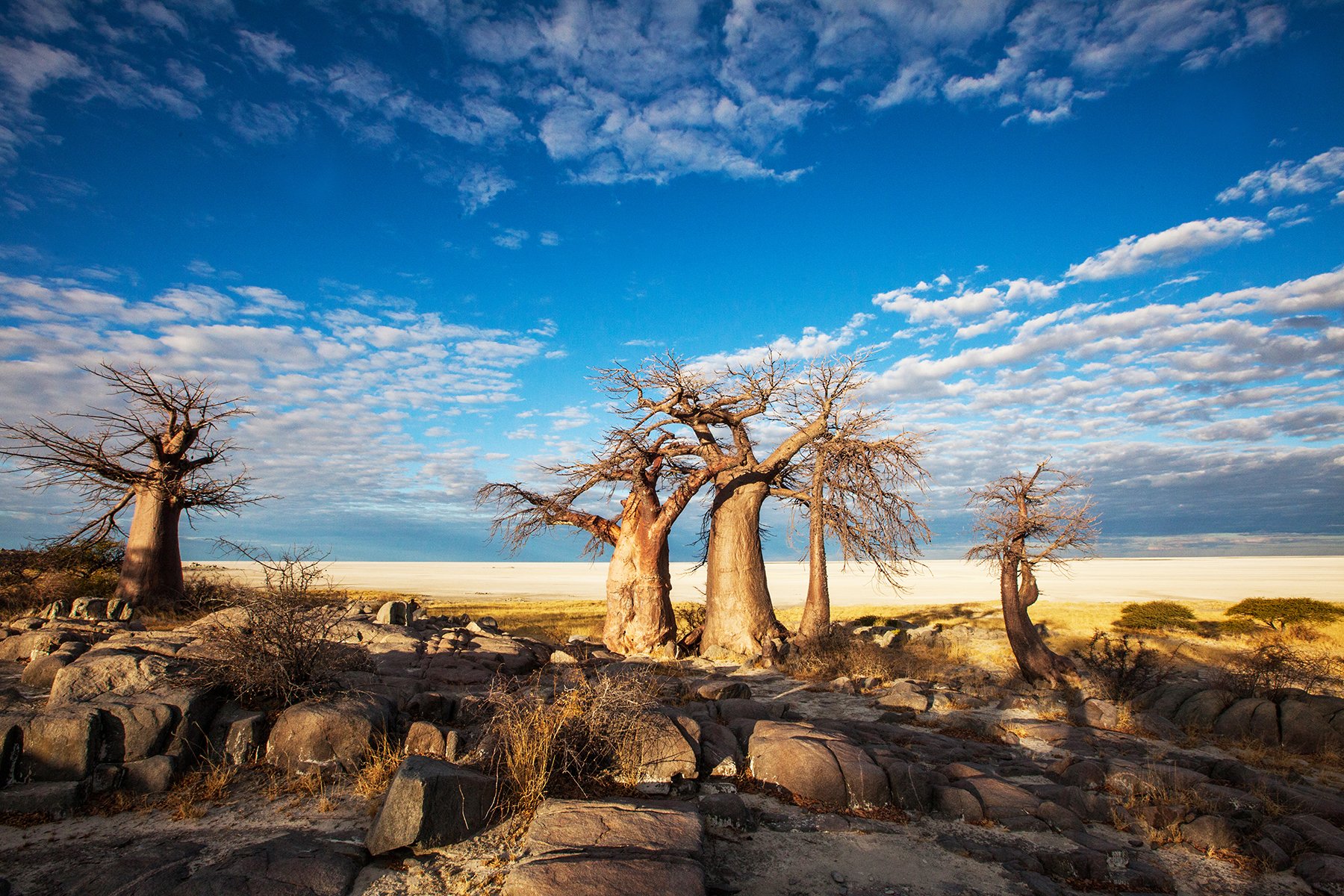 Botswana Tanja Kolibius Natur