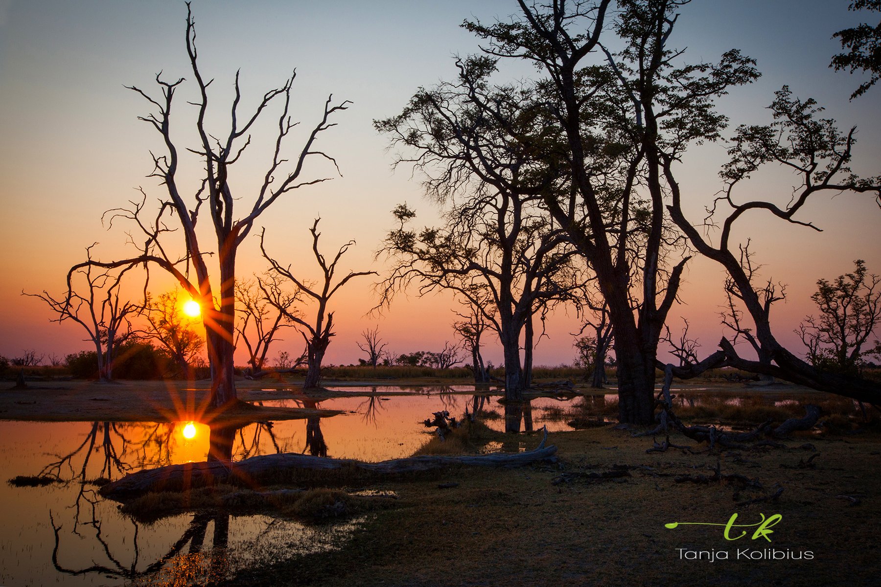 Botswana Tanja Kolibius Sonnenuntergang 2