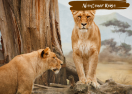 Beitragsbild Abenteuerreise