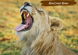 Beitragsbild Botswana 4x4 Abenteuer 15 Tage