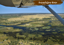 Beitragsbild Botswana
