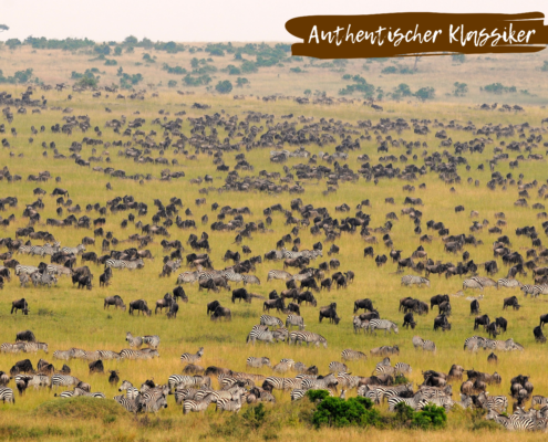 Kenia Beitragsbild Klassiker