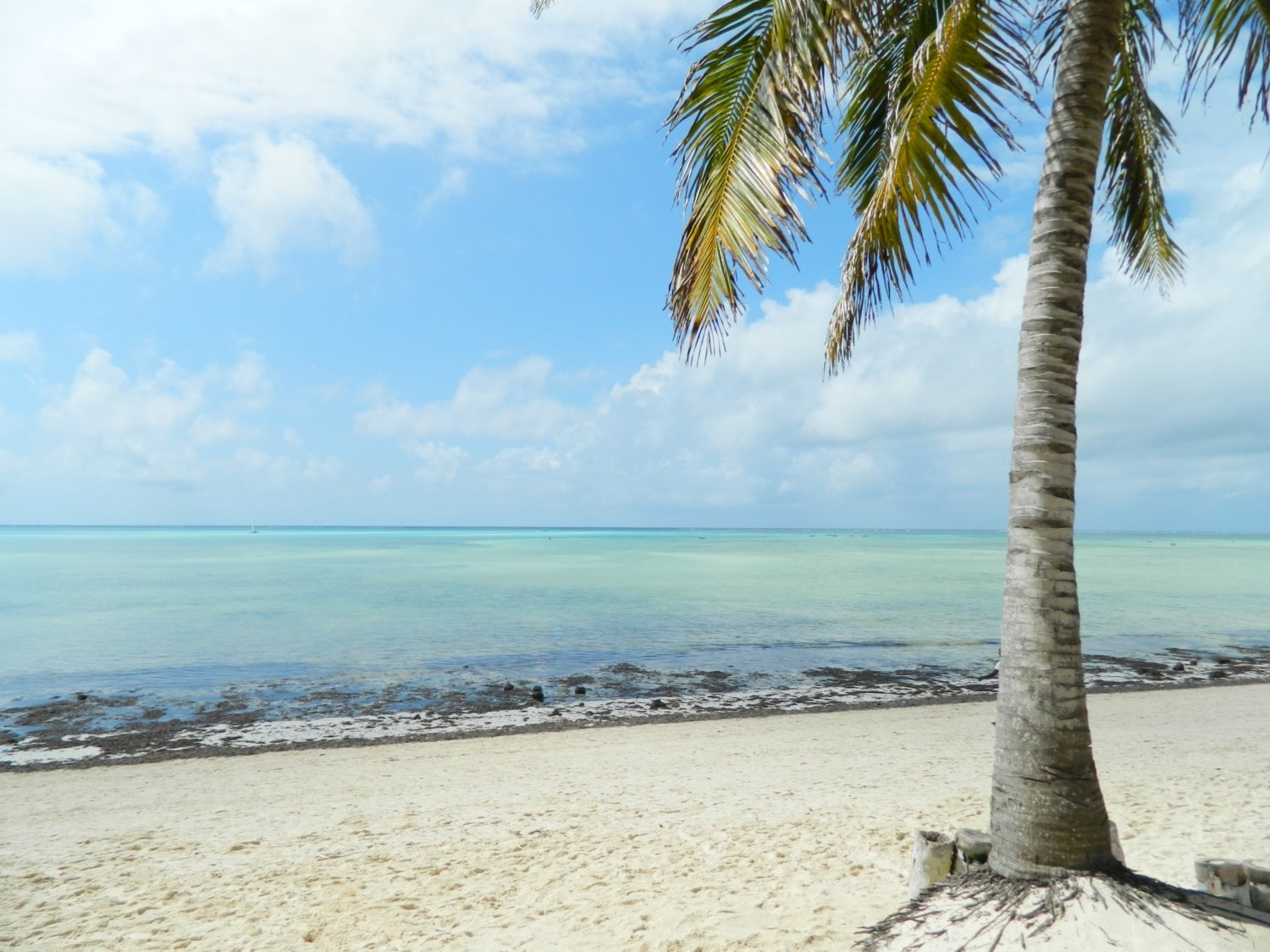 Kenia Mombasa Strand