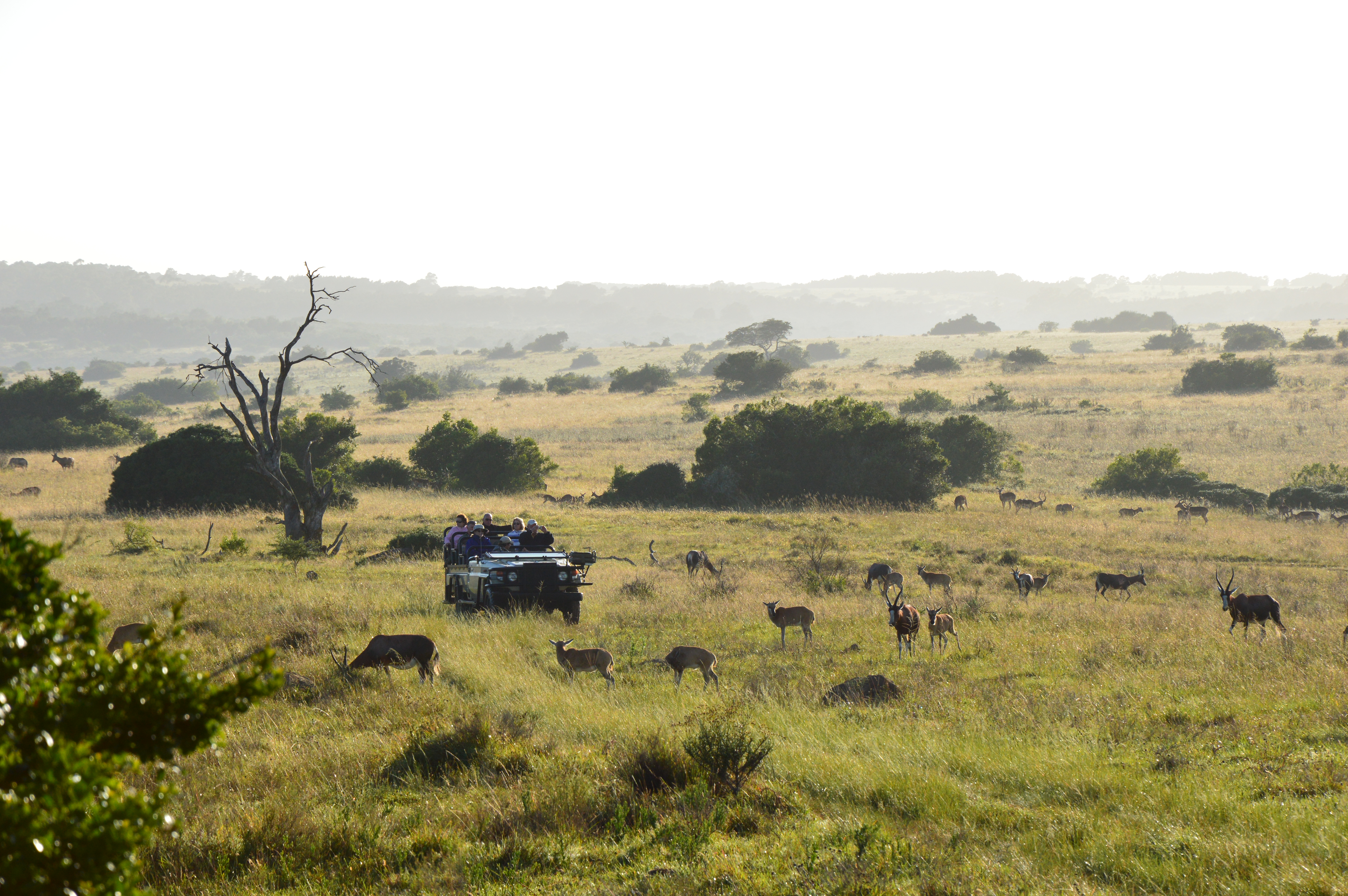 Lalibela Safari Scenery