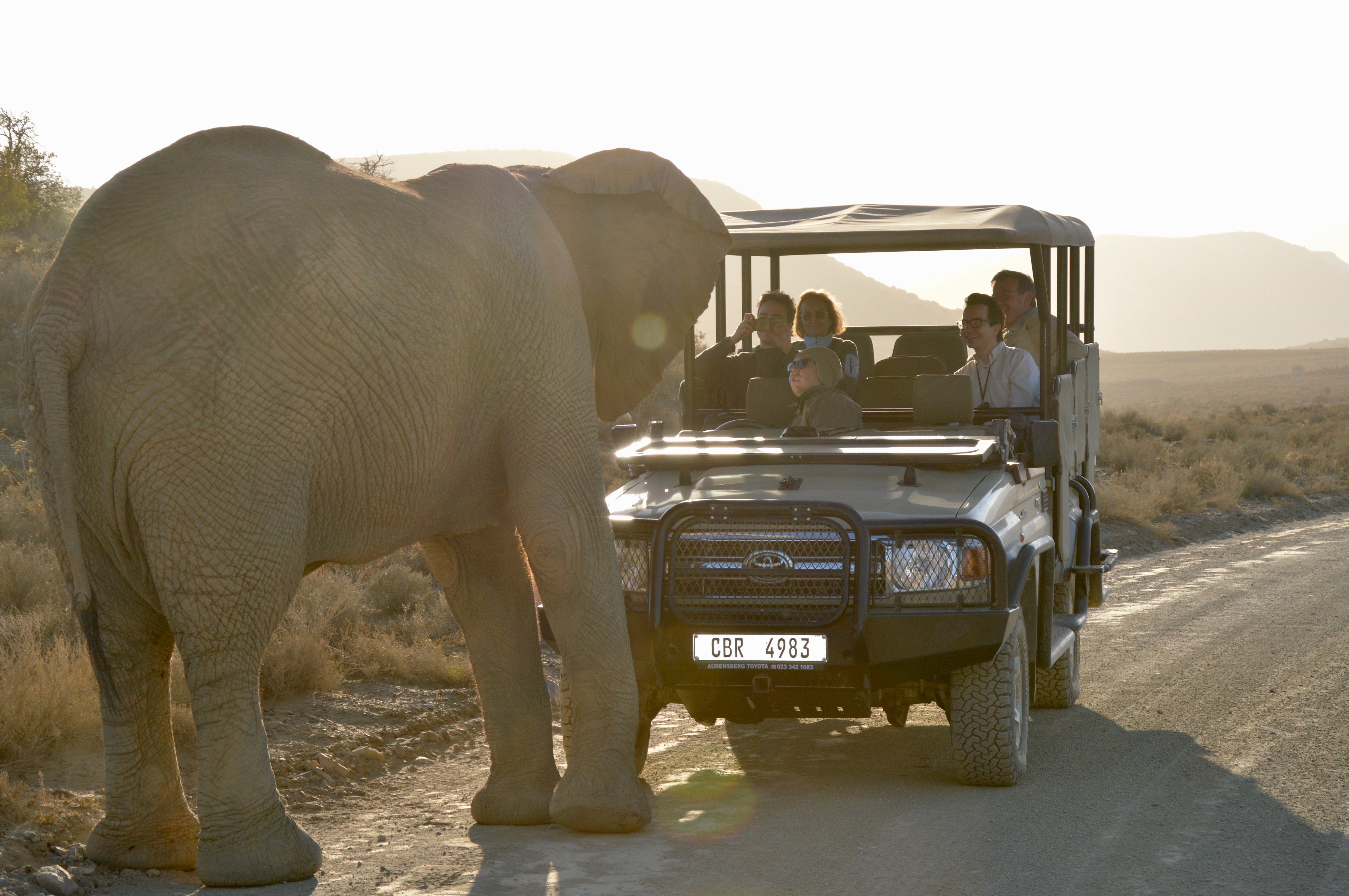 Sanbona Elephant Safari