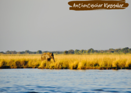 Beitragsbild Botswana Vic Falls und Hightslights Botwana 7 Tage