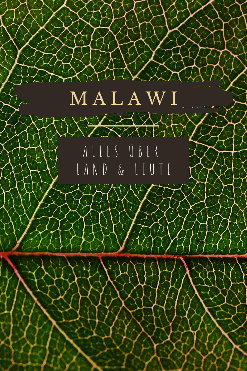 Blog Malawi