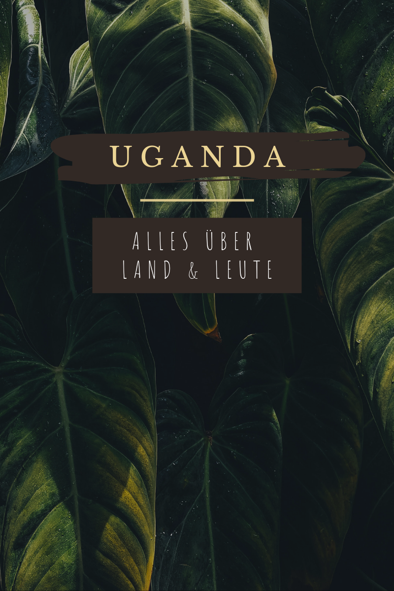 Blog Uganda