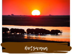 Botswana Key Visual