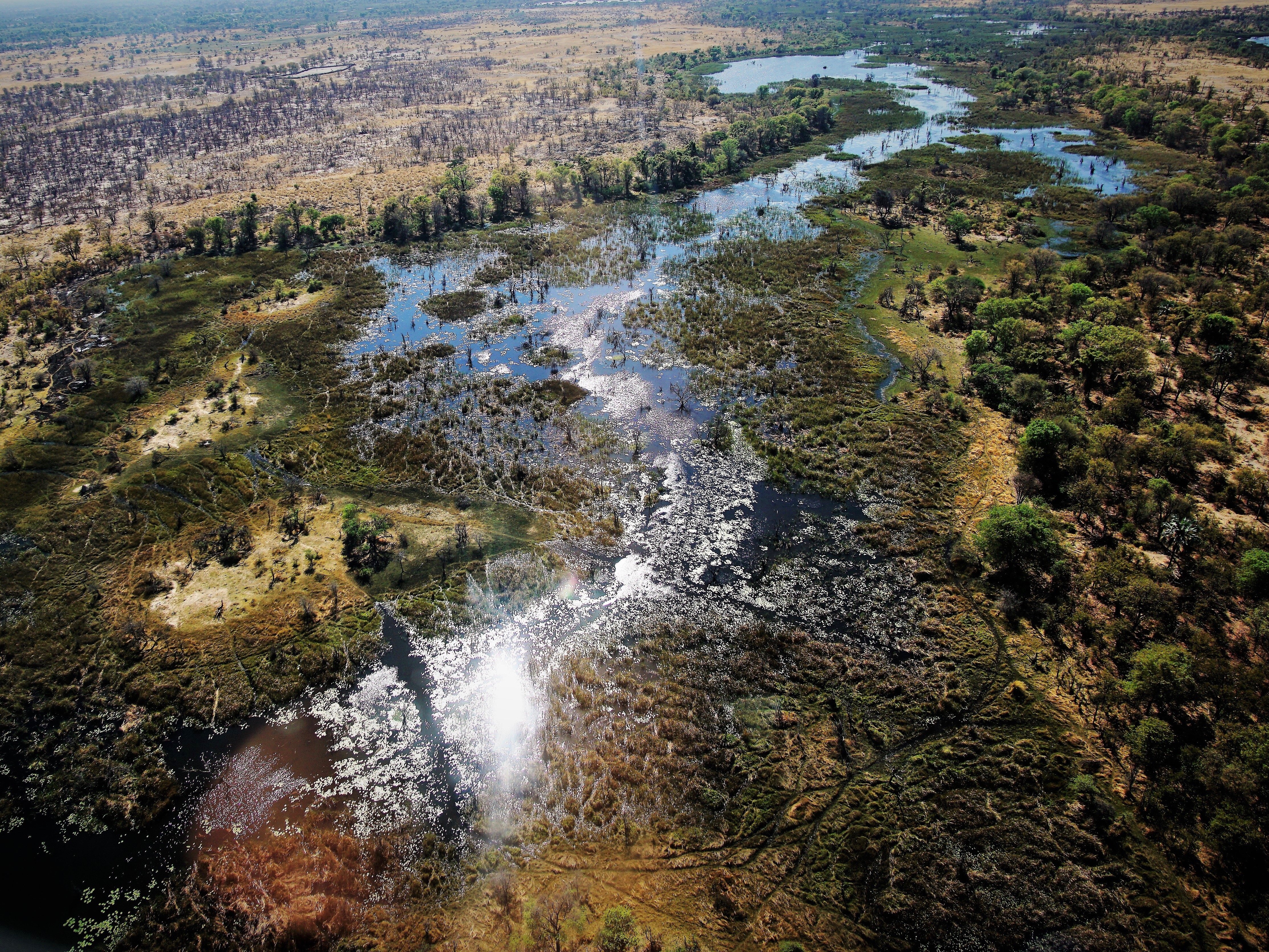 Botswana Okavango Delta