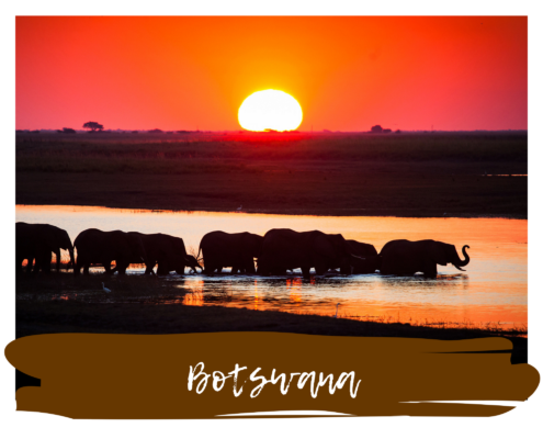 Key Visual Botswana Portfolio