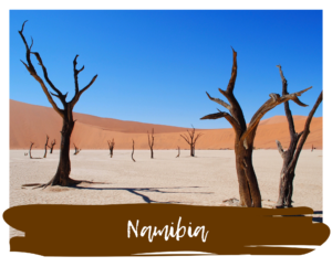 Key Visual Namibia Portfolio