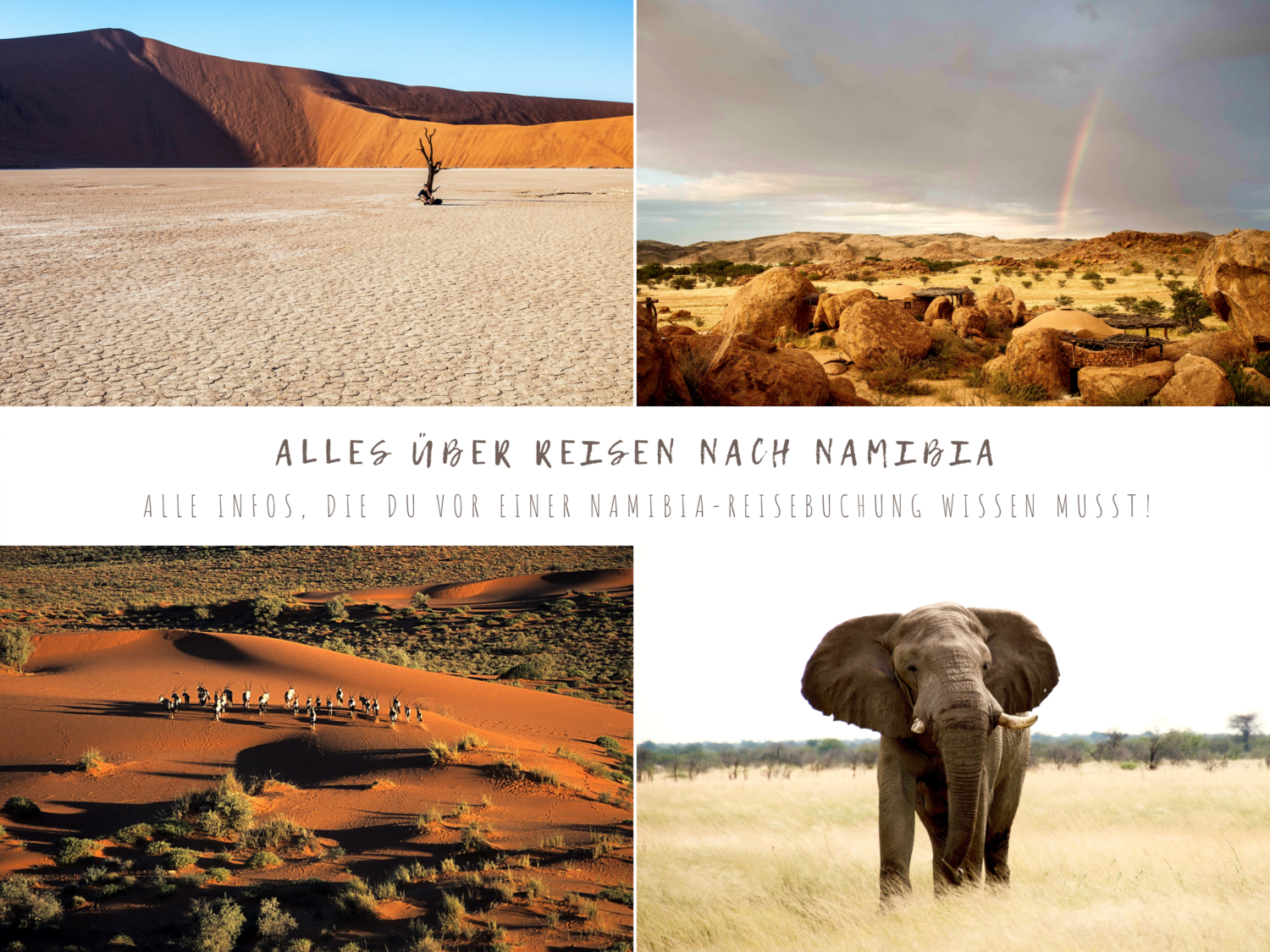 Namibia Blog