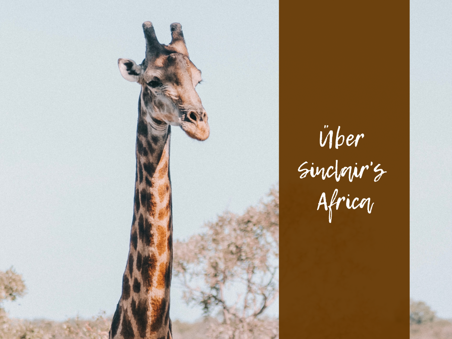 Sinclairs Africa key visual