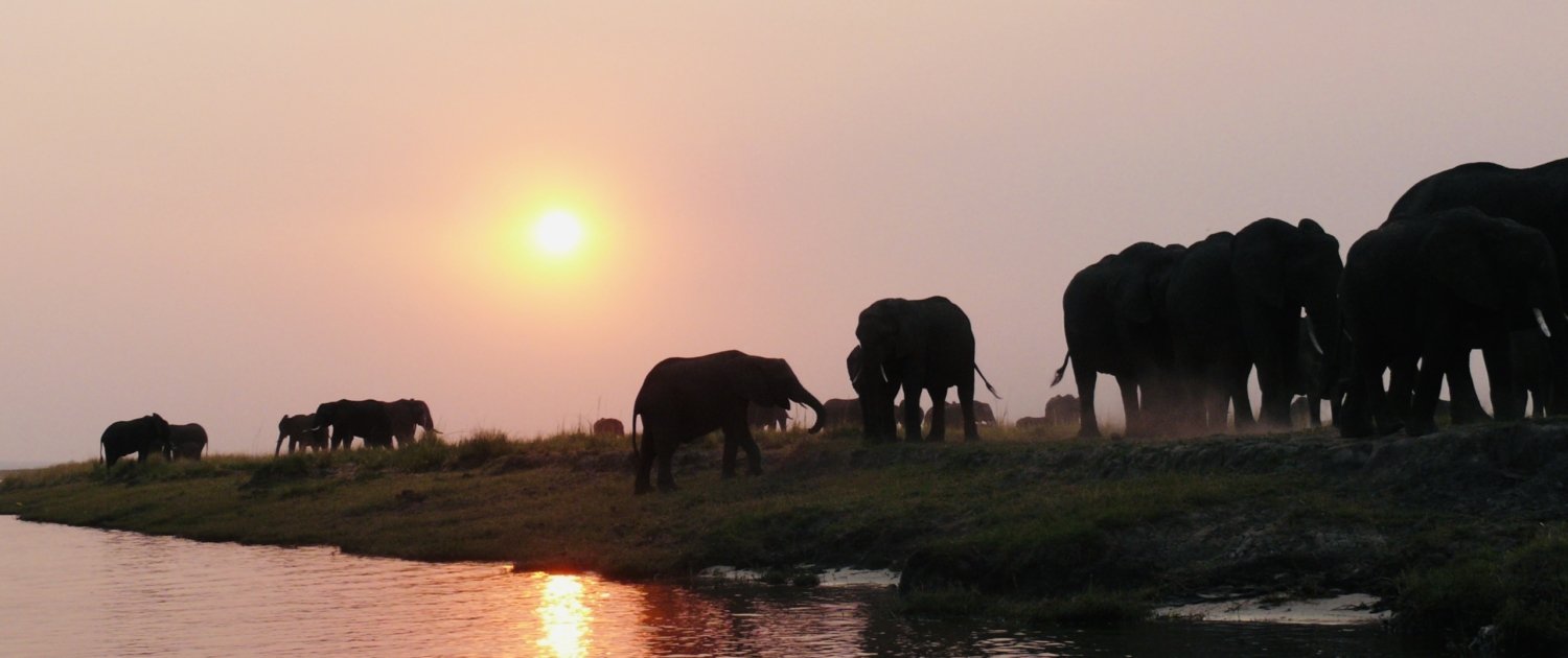 Simbabwe und Botswana Sonnenuntergang