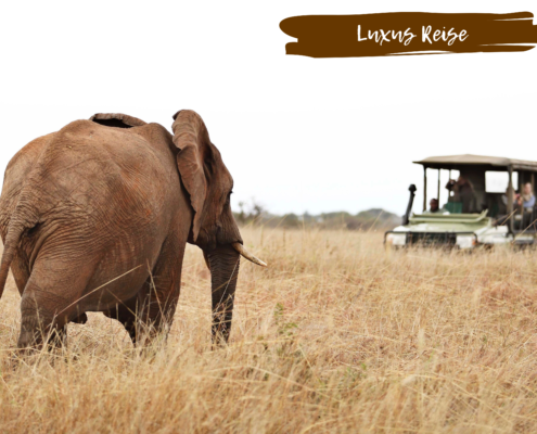 Elefant und Safari Jeep in Tansania mit Beschriftung ,,Luxus Reise"