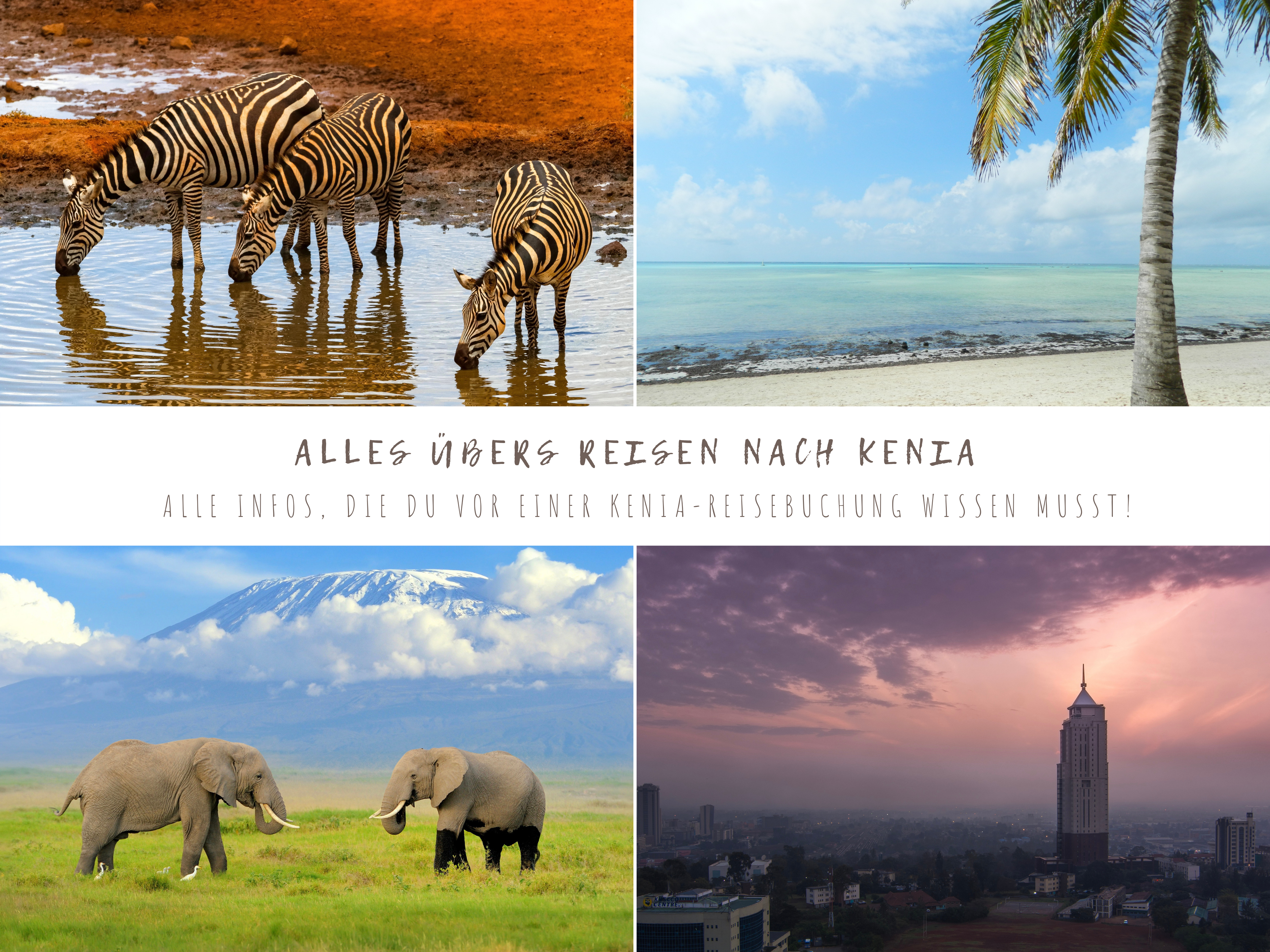 Alles über Reisen nach Kenia