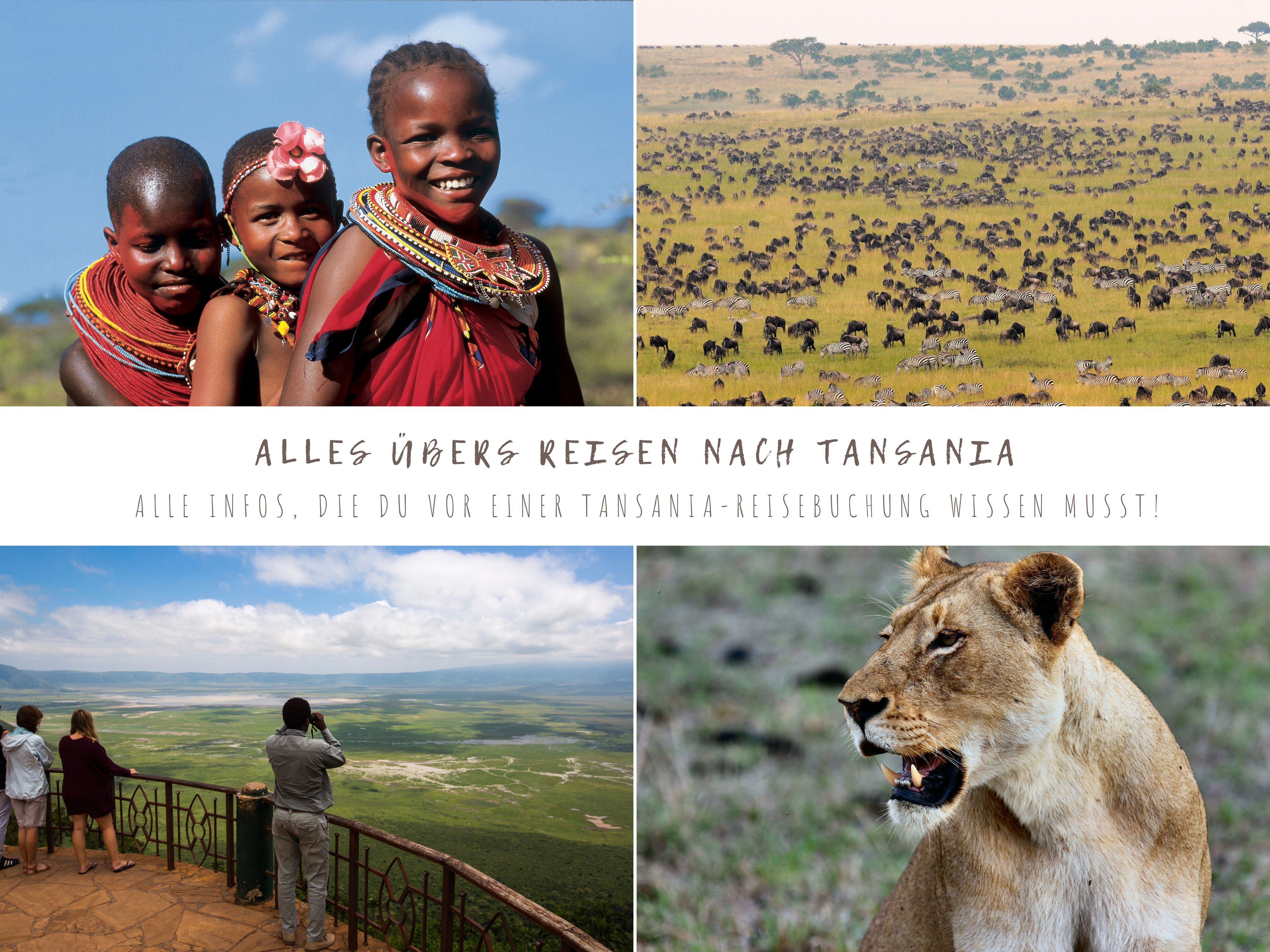 vier Bilder aus Tansania mit Beschriftung alles über deine Reise