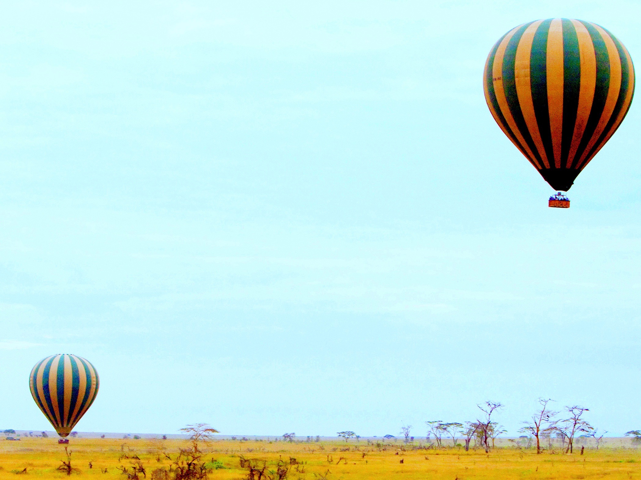 Heißluftballon-Safari vom Asilia Dunia-Camp