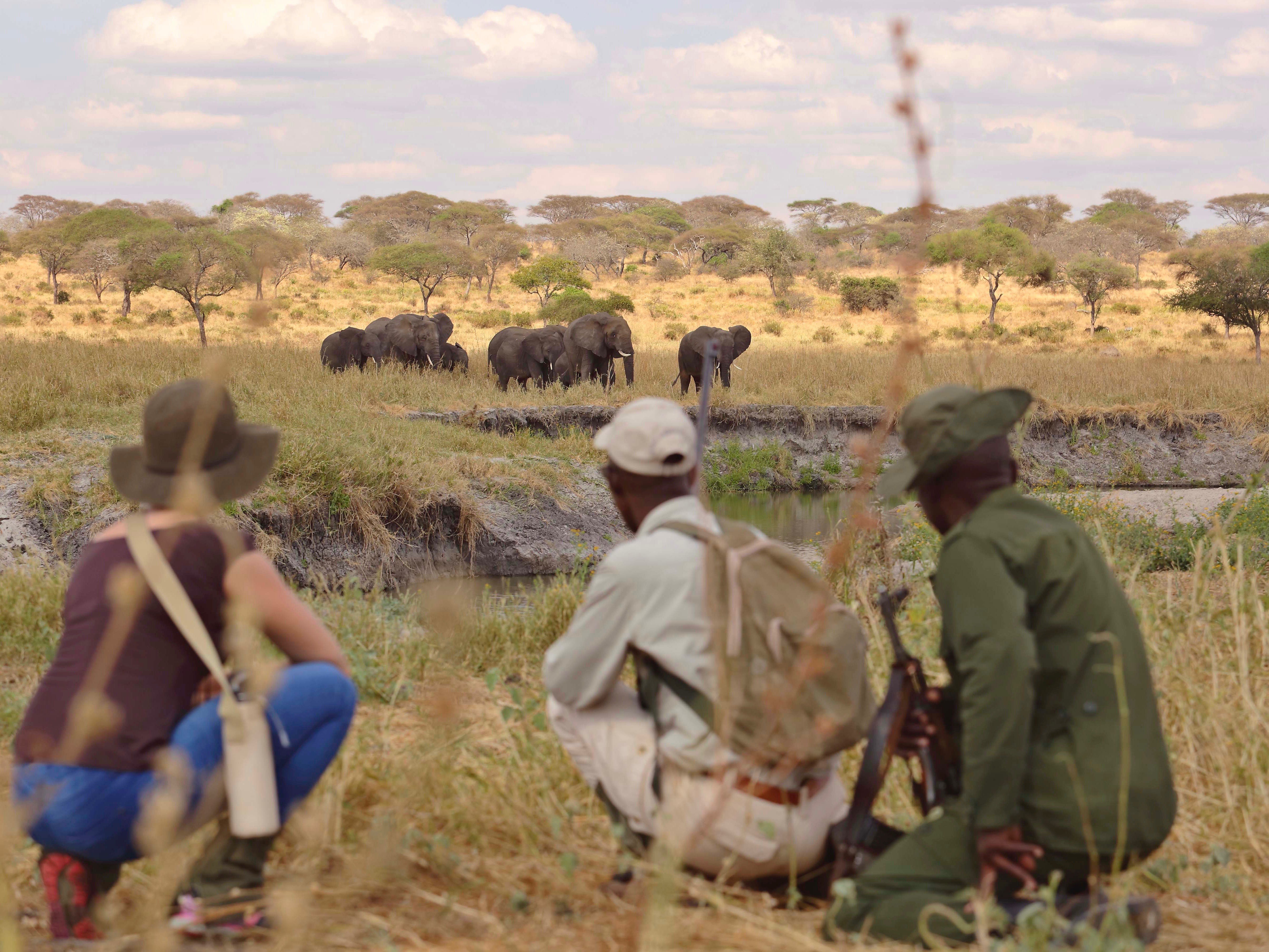 Walking-Safari in Tansania