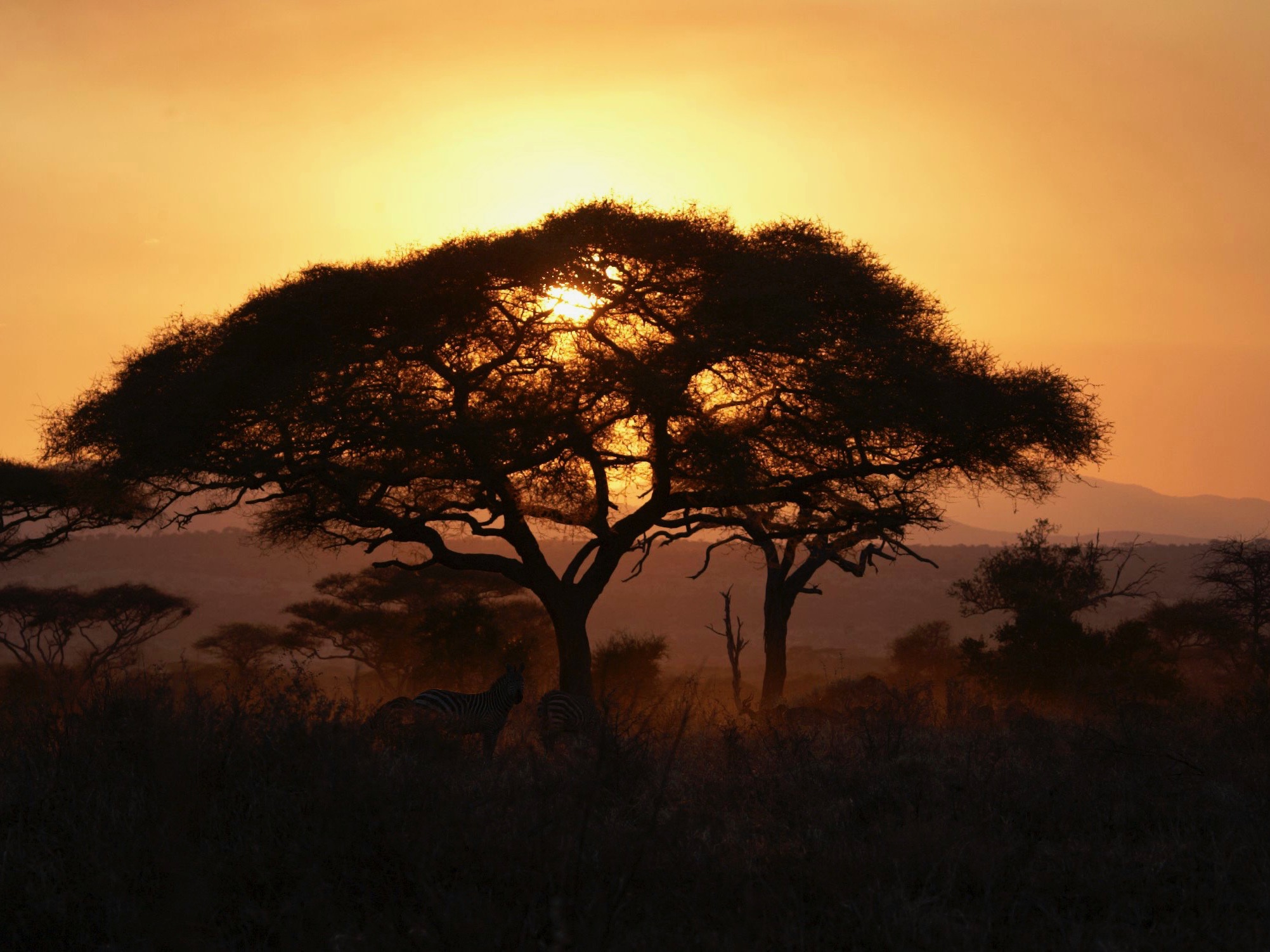 Sonnenuntergang und Landschaft in Tansania im Asilia Olivers-Camp