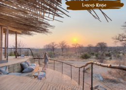 Blick auf Landschaft von Asilia Lodge mit Beschriftung ,,Luxus Reise"