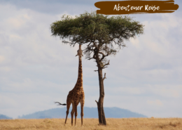 Beitragsbild Abenteuerreise Camping Kenia Tansania