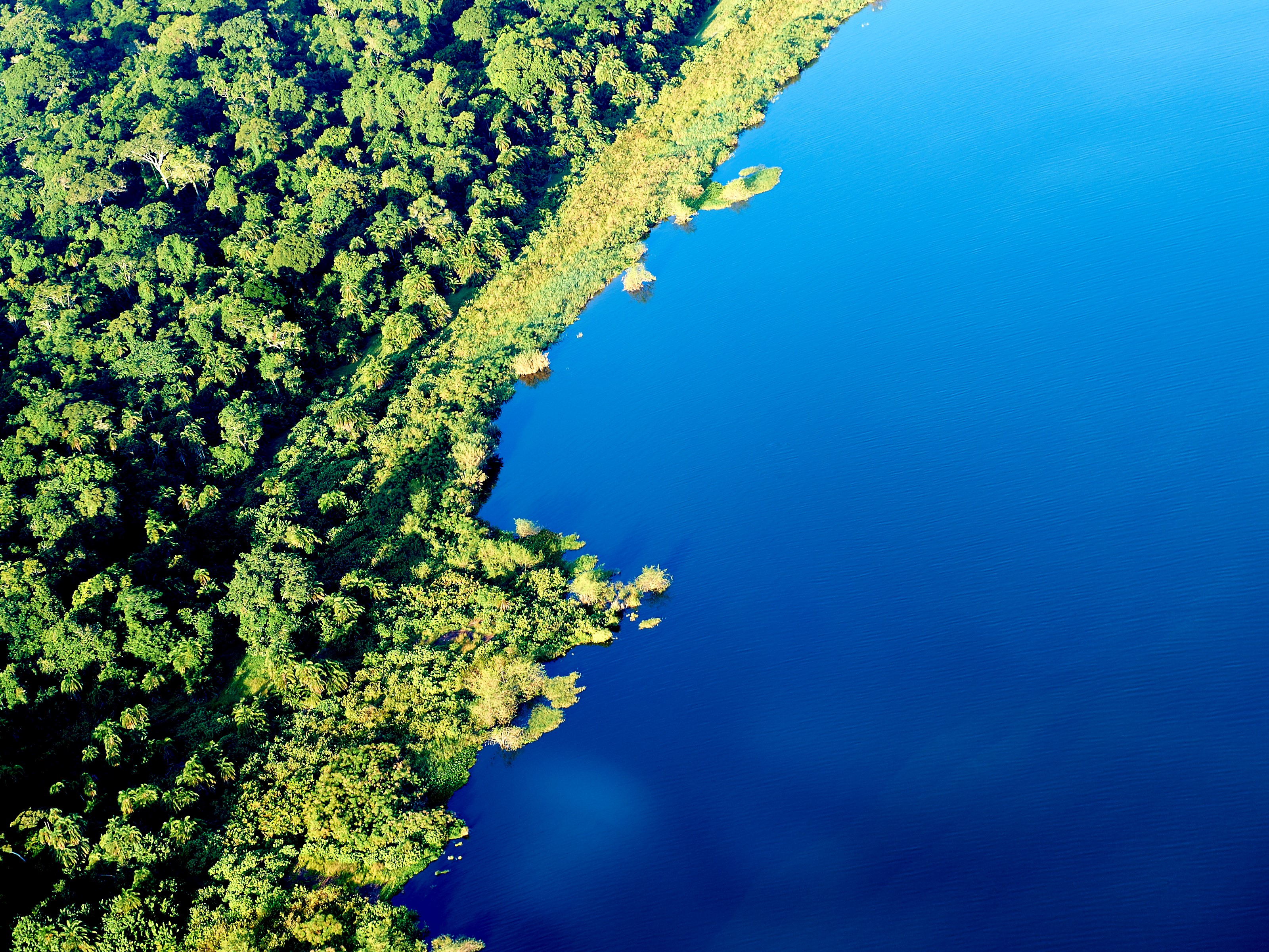 Landschaft in Tansania im Rubondo-Island-Camp
