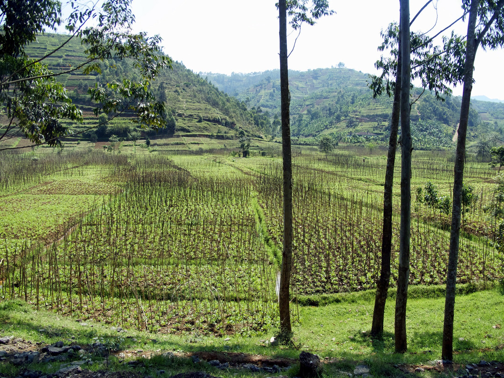 Rwanda Landschaft