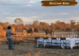 Beitragsbild Als Selbstfahrer durch SImbabwe und Botswana
