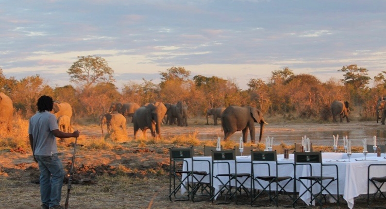 Simbabwe Elephants Eye Bush Dinner