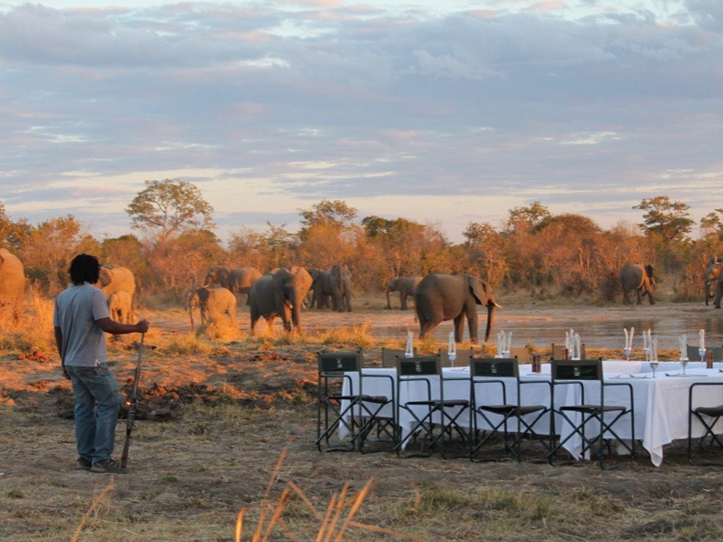 Simbabwe Elephants Eye Bush Dinner