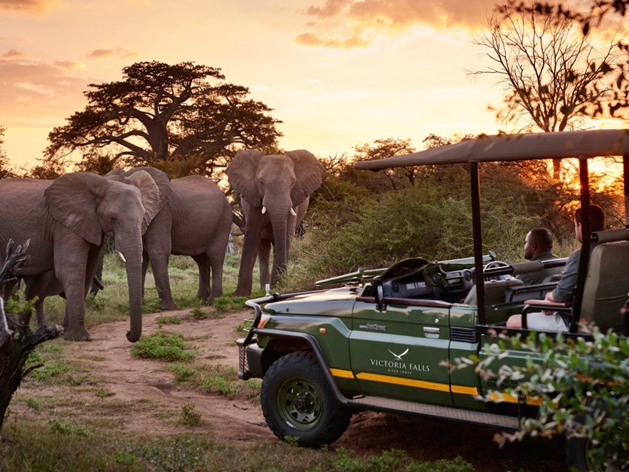 Simbabwe Victoria Falls River Lodge Safari