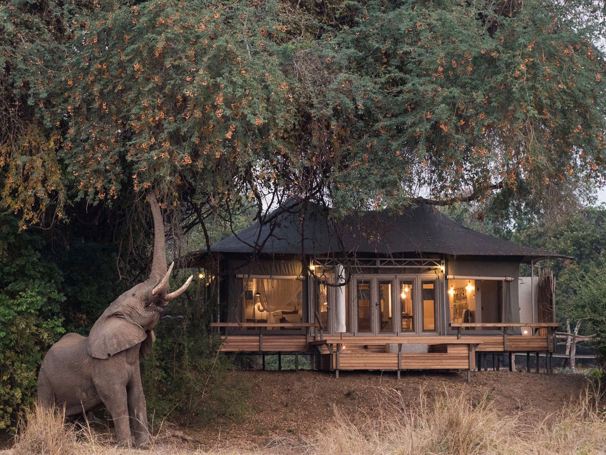 Simbabwe mana pools chikwenya